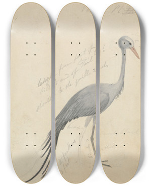 Triptych art skateboard deck of James De Carle Sowerby A Crane by James De Carle Sowerby