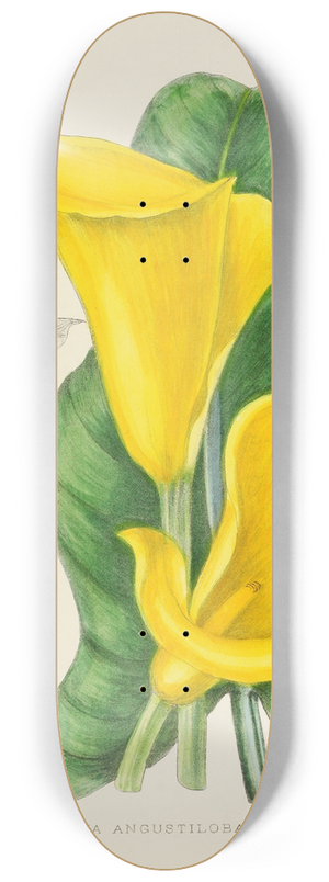 Illtyd Buller Pole-Evans - Richardia Angustiloba 8.25 inch art skate deck
