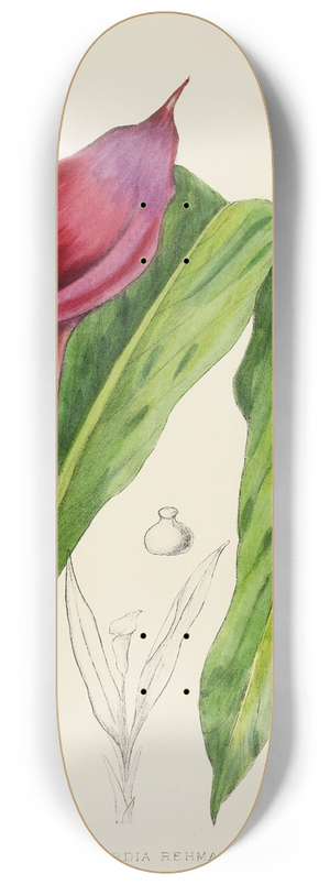 Illtyd Buller Pole-Evans - Richardia Rehmanni 8.25 inch art skate deck