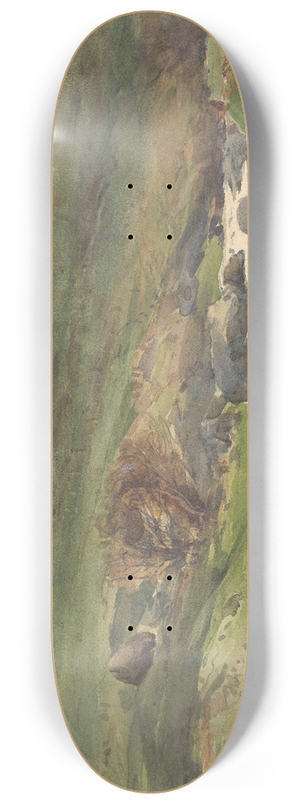 Alfred Walsh - Mountain stream, Kaikoura 8.25 inch art skate deck