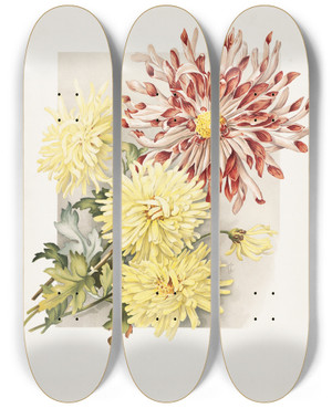 Triptych art skateboard deck of James Callowhill Daisies by James Callowhill (1838-1917)