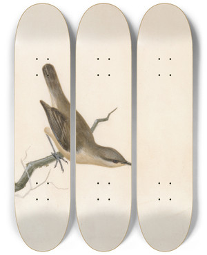 Triptych art skateboard deck of William Lewin Warbler Reed Wren by William Lewin