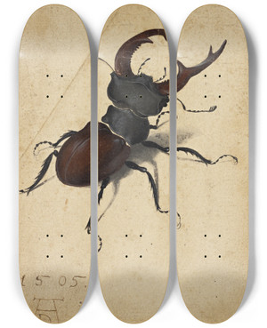 Triptych art skateboard deck of Albrecht Drer Stag Beetle by Albrecht Durer (1471-1528)