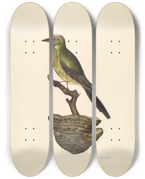 Triptych art skateboard deck of John Thorsen Robin German by John Thorsen