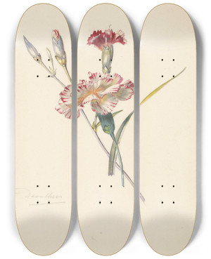 Triptych art skateboard deck of Albertus Steenbergen Studieblad Met Anjers by Albertus Steenbergen (1814-1900)