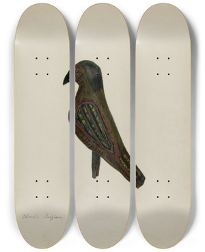 Triptych art skateboard deck of Charles Garjian Pa German Toy Bird_2 by Charles Garjian