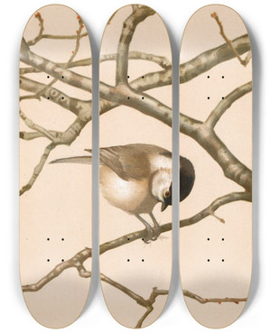 Triptych art skateboard deck of Lopaul Robert Msange Nonnette by Leo Paul Robert (1851-1923)