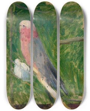 Triptych art skateboard deck of Tadeusz Makowski Parrot by Tadeusz Makowski (1882-1932)
