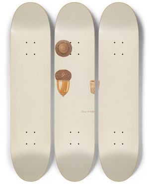 Triptych art skateboard deck of David P Willoughby Thimble Case by David P Willoughby