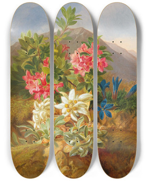 Triptych art skateboard deck of Josef Schuster Alpine Flowers by Josef Schuster (1812-1890)