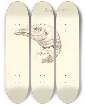 Triptych art skateboard deck of Johan Thomas Lundbye Hovede Af En Dd Kalkunhne by Johan Thomas Lundbye (1818-1848)