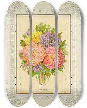 Triptych art skateboard deck of Marcus Ward Co Aster by Marcus Ward Co