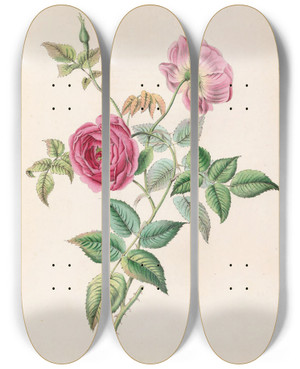 Triptych art skateboard deck of James Ackerman The Rose by James Ackerman (1816-1864)