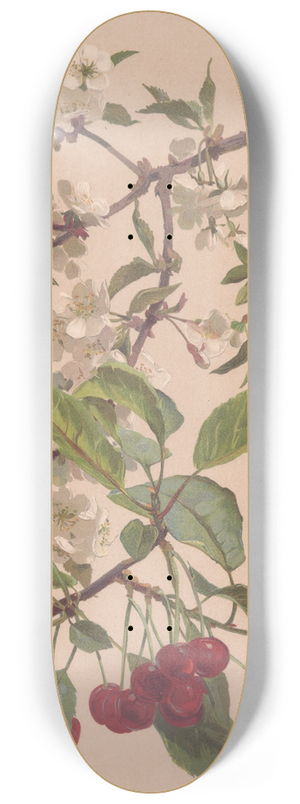 Alice Bailly - Aquarelle dune branche de cerisier 8.25 inch art skate deck Alice Bailly - Aquarelle dune branche de cerisier 8.25 inch art skate deck