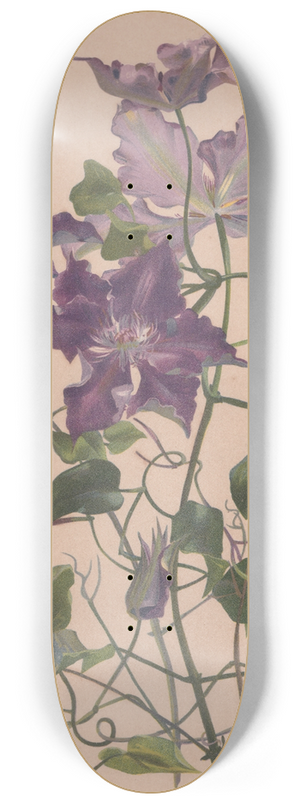 Alice Bailly - Aquarelle dune clmatite  grandes fleurs 8.25 inch art skate deck Alice Bailly - Aquarelle dune clmatite  grandes fleurs 8.25 inch art skate deck