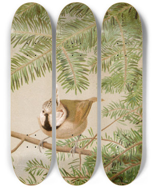 Triptych art skateboard deck of Lopaul Robert Msange Huppe by Leo Paul Robert (1851-1923)