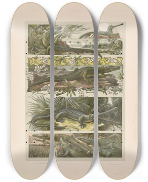 Triptych art skateboard deck of Anton Seder Das Thier In Der Decorativen Kunst Pl14 by Anton Seder (1850-1916)