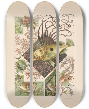 Triptych art skateboard deck of Anton Seder Das Thier In Der Decorativen Kunst Pl04 by Anton Seder (1850-1916)