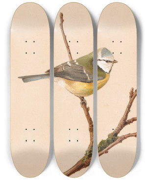 Triptych art skateboard deck of Lopaul Robert Msange Bleue by Leo Paul Robert (1851-1923)