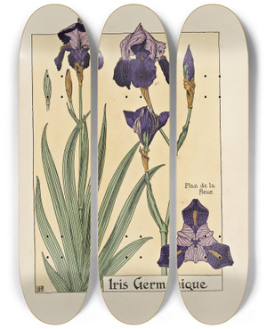 Triptych art skateboard deck of Maurice Pillard Verneuil Iris Germanique by Maurice Pillard Verneuil (1869-1942)