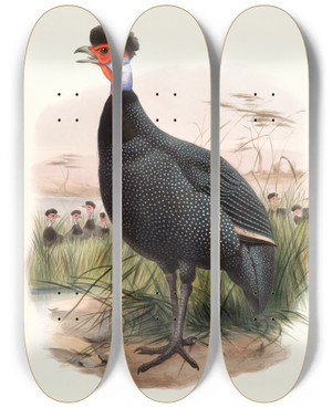 Triptych art skateboard deck of Joseph Smit Numida Granti by Joseph Smit (1836-1929)
