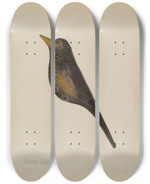 Triptych art skateboard deck of Charles Garjian Decoy by Charles Garjian