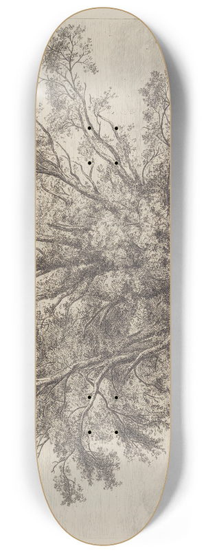 Jacob George Strutt - The Abbots Willow 8.25 inch art skate deck