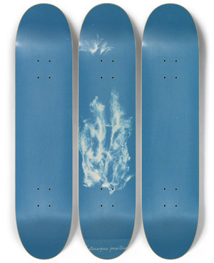 Triptych art skateboard deck of Anna Atkins Ectocarpus Pusillus by Anna Atkins (1799-1871)