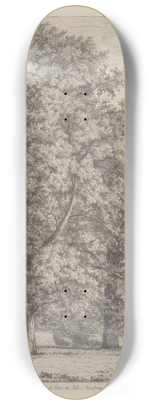 Jacob George Strutt - The Wych Elms at Polloc 8.25 inch art skate deck