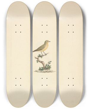 Triptych art skateboard deck of Luigi Balugani Unidentified Bird_2 by Luigi Balugani (1737-1770)