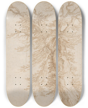Triptych art skateboard deck of Jacob De Gheyn Ii Study Of A Tree by Jacob de Gheyn II (1565-1629)