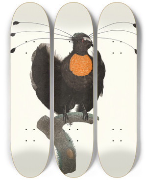 Triptych art skateboard deck of Jacques Barraband Le Sifilet by Jacques Barraband (1767-1809)