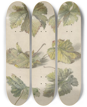 Triptych art skateboard deck of Willem Van Leen Studies Van Wingerdbladen by Willem van Leen (1753-1825)