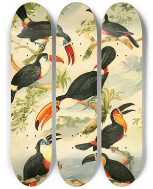 Triptych art skateboard deck of Emil August Gldi Tucnos by Emil August Goldi (1859-1917)