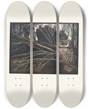 Triptych art skateboard deck of Arthur Rackham Or A Screech Owl by Arthur Rackham (1867-1939)