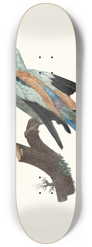 Jacques Barraband - Le Rollier vulgaire, mle. 8.25 inch art skate deck