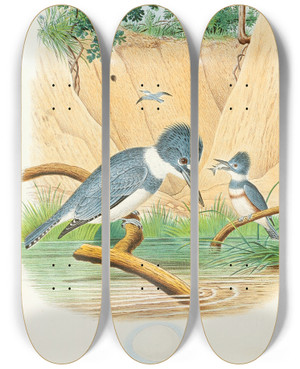 Triptych art skateboard deck of Edwin L Sheppard Belted Kingfisher by Edwin L Sheppard (1904)