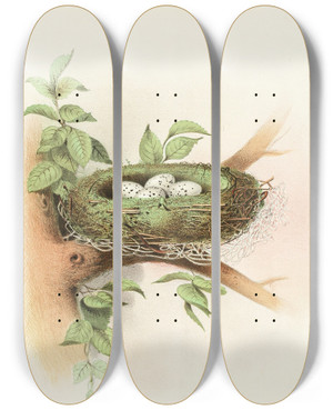 Triptych art skateboard deck of Edwin L Sheppard Cedarbird by Edwin L Sheppard (1904)