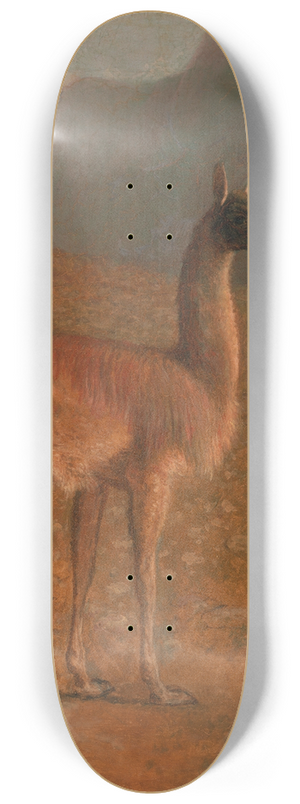 Jacques-Laurent Agasse - Guanaco 8.25 inch art skate deck Jacques-Laurent Agasse - Guanaco 8.25 inch art skate deck