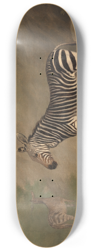 Jacques-Laurent Agasse - Zebra 8.25 inch art skate deck