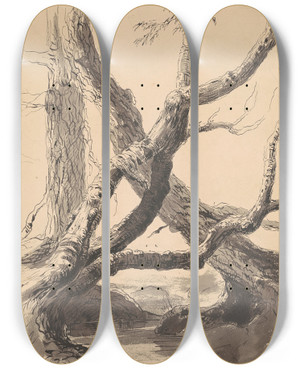 Triptych art skateboard deck of Thomas Cole Tree Trunks by Thomas Cole (1801-1848)