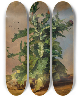 Triptych art skateboard deck of Josef Schuster Thistles by Josef Schuster (1812-1890)