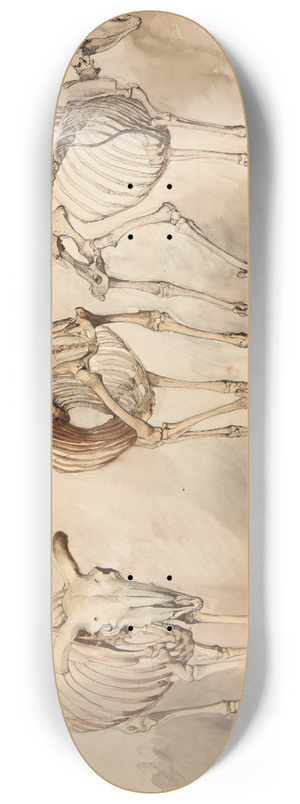 Jacques-Raymond Brascassat - Trois tudes de squelettes de moutons 8.25 inch art skate deck Jacques-Raymond Brascassat - Trois tudes de squelettes de moutons 8.25 inch art skate deck