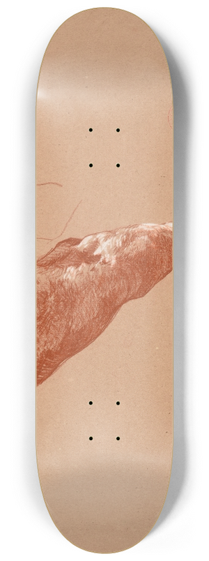 Jacques-Raymond Brascassat - tude de patte de bovid 8.25 inch art skate deck