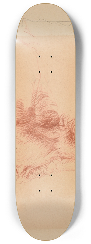 Jacques-Raymond Brascassat - tude de patte de chien. 8.25 inch art skate deck