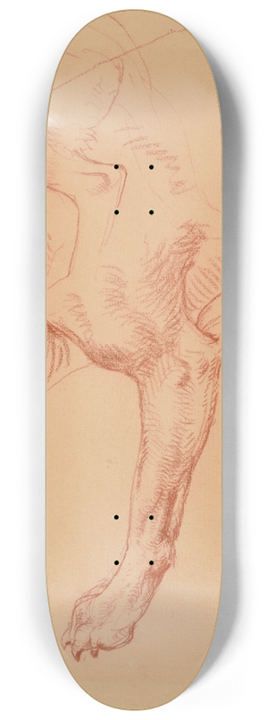 Jacques-Raymond Brascassat - tude de patte de chien 8.25 inch art skate deck