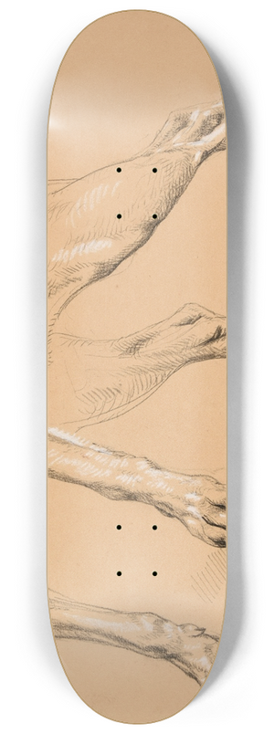 Jacques-Raymond Brascassat - tude de pattes et queue de chien 8.25 inch art skate deck