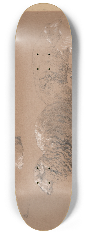 Jacques-Raymond Brascassat - tudes de moutons couchs 8.25 inch art skate deck