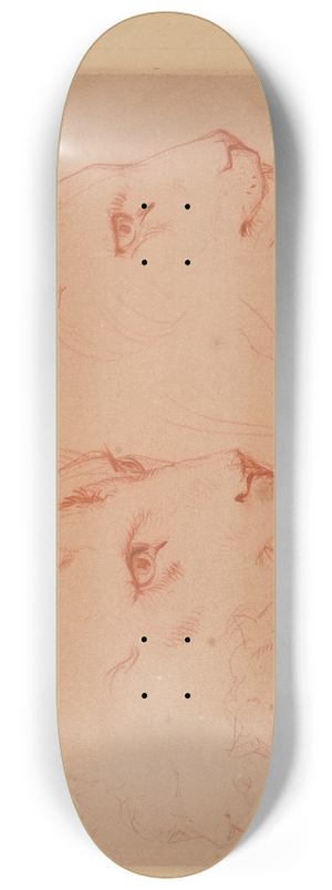 Jacques-Raymond Brascassat - tudes de ttes de lions 8.25 inch art skate deck