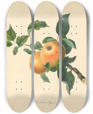 Triptych art skateboard deck of Thomas Andrew Knight Forest Styre by Thomas Andrew Knight (1759-1838)